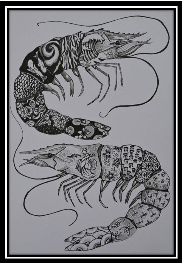 Small prawn