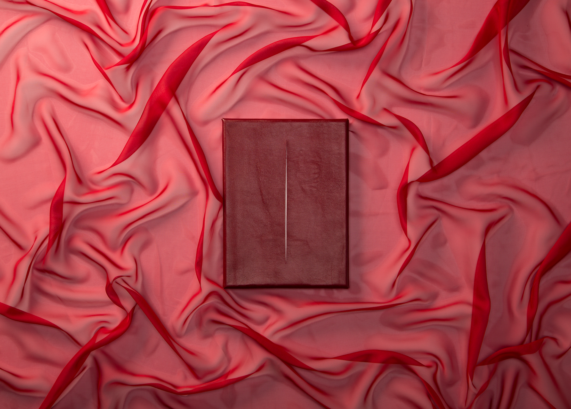 “Breaking through the silence” Canvas, leather, silk. Handmade