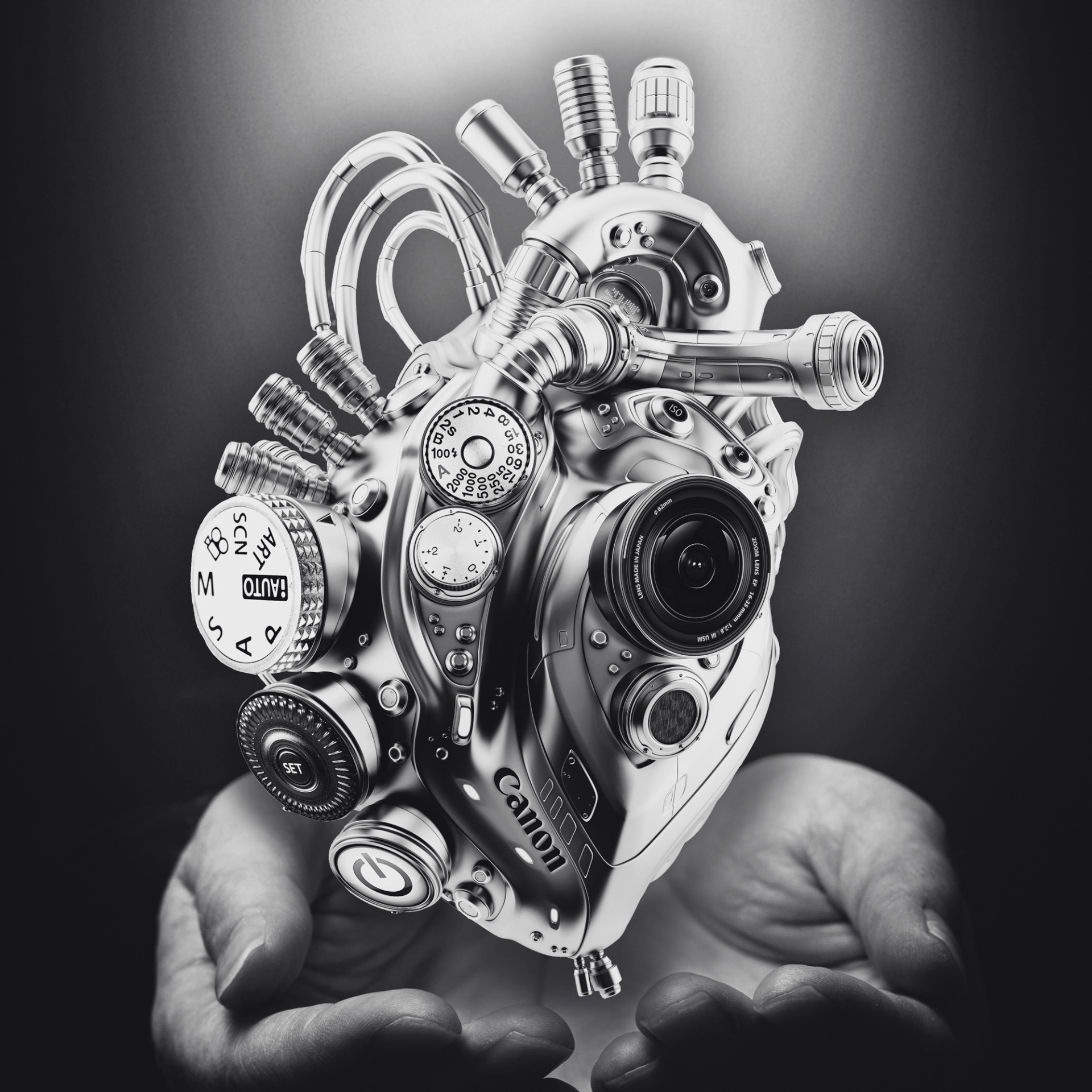 What Makes My Heart Beat, Created with Photoshop