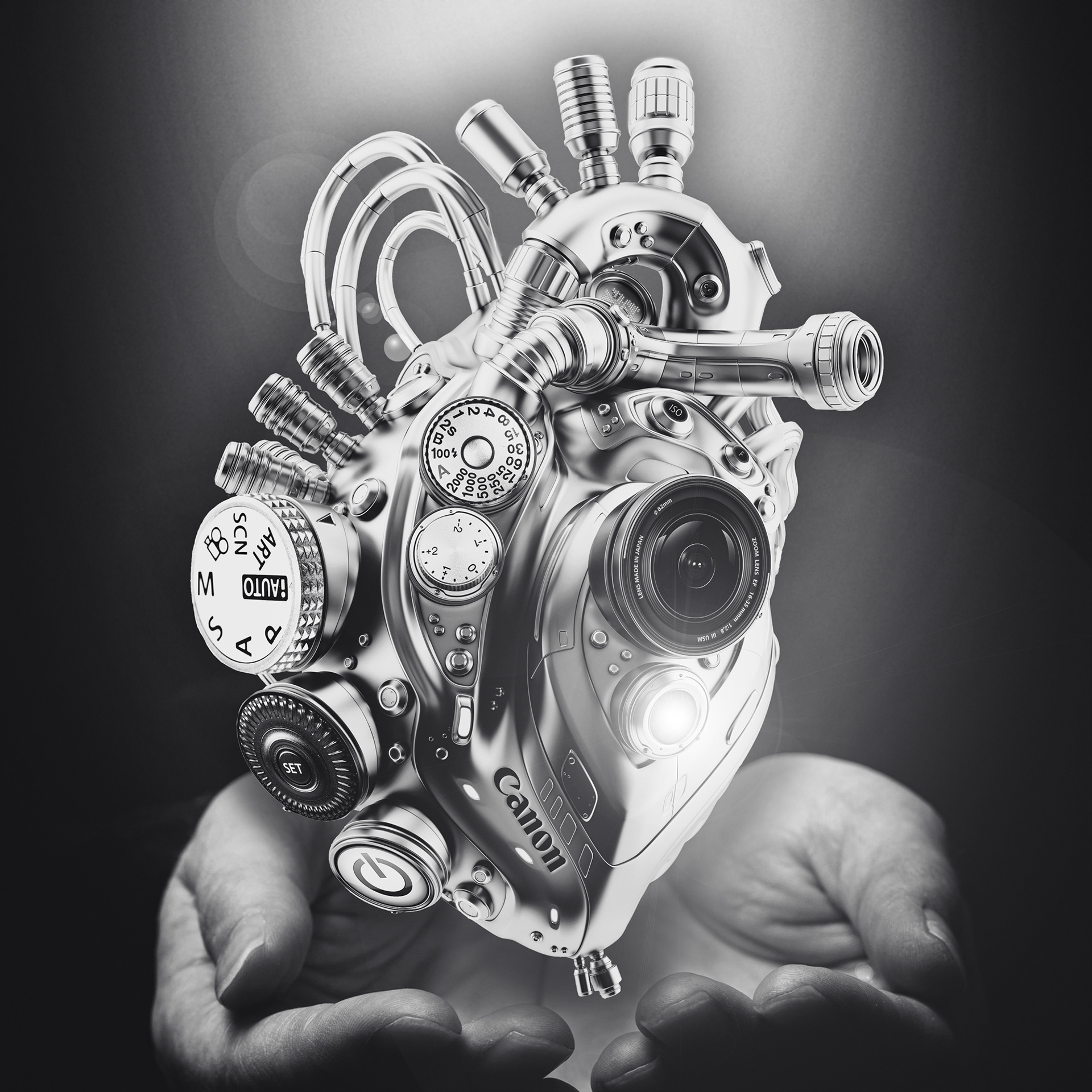 What Makes My Heart Beat, Photograph Manipulation, Created With Photoshop, 10" x 10"