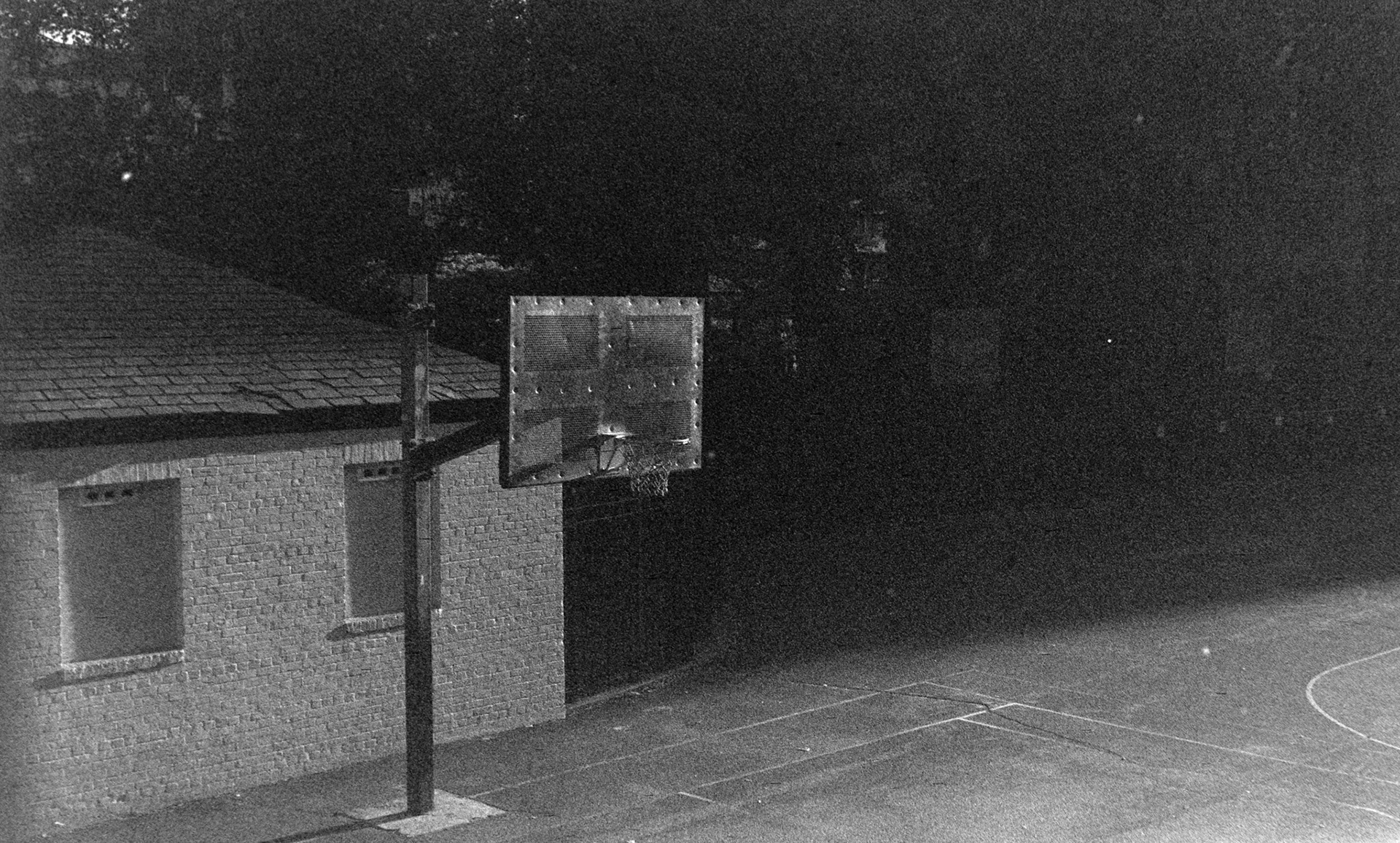 Negative Lab Pro v3.0.2 | Color Model: B+W | Pre-Sat: 4 | Tone Profile: Linear + Gamma | WB: None | LUT: Frontier