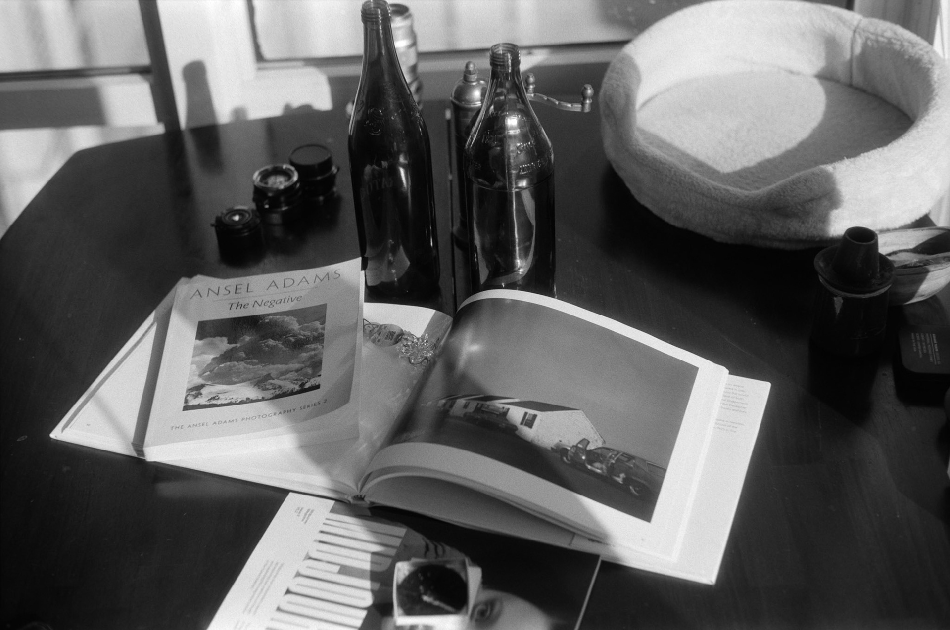 Negative Lab Pro v3.0.2 | Color Model: B+W | Pre-Sat: 4 | Tone Profile: Linear + Gamma | WB: None | LUT: Frontier