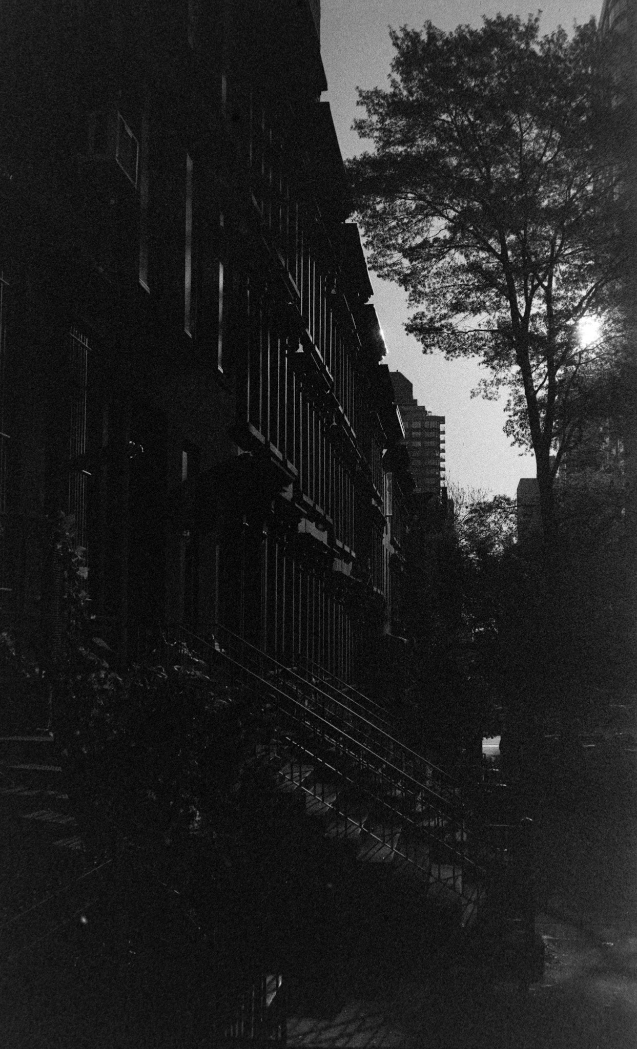 Negative Lab Pro v3.0.2 | Color Model: B+W | Pre-Sat: 4 | Tone Profile: Linear + Gamma | WB: None | LUT: Frontier