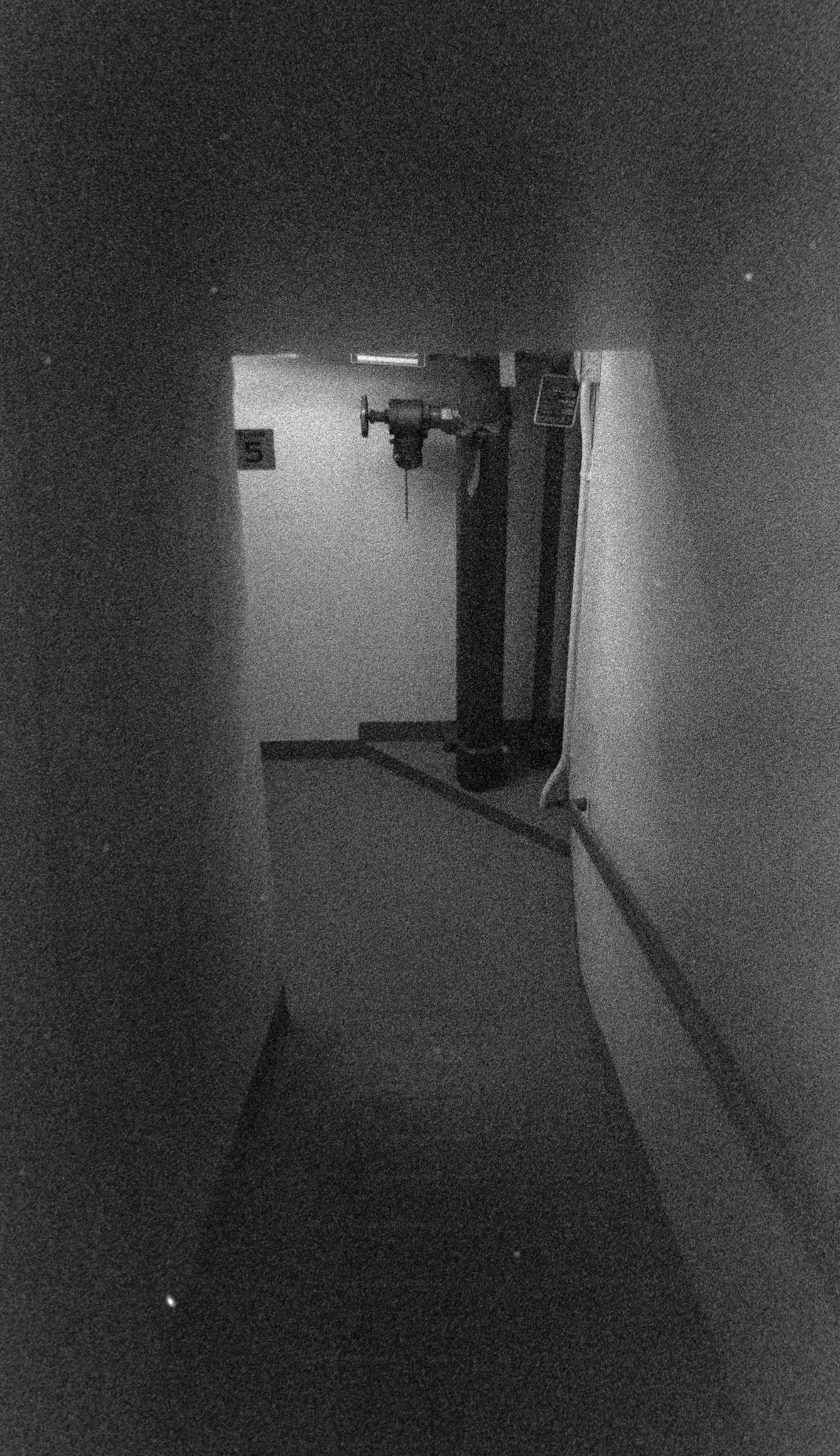 Negative Lab Pro v3.0.2 | Color Model: B+W | Pre-Sat: 4 | Tone Profile: Linear + Gamma | WB: None | LUT: Frontier