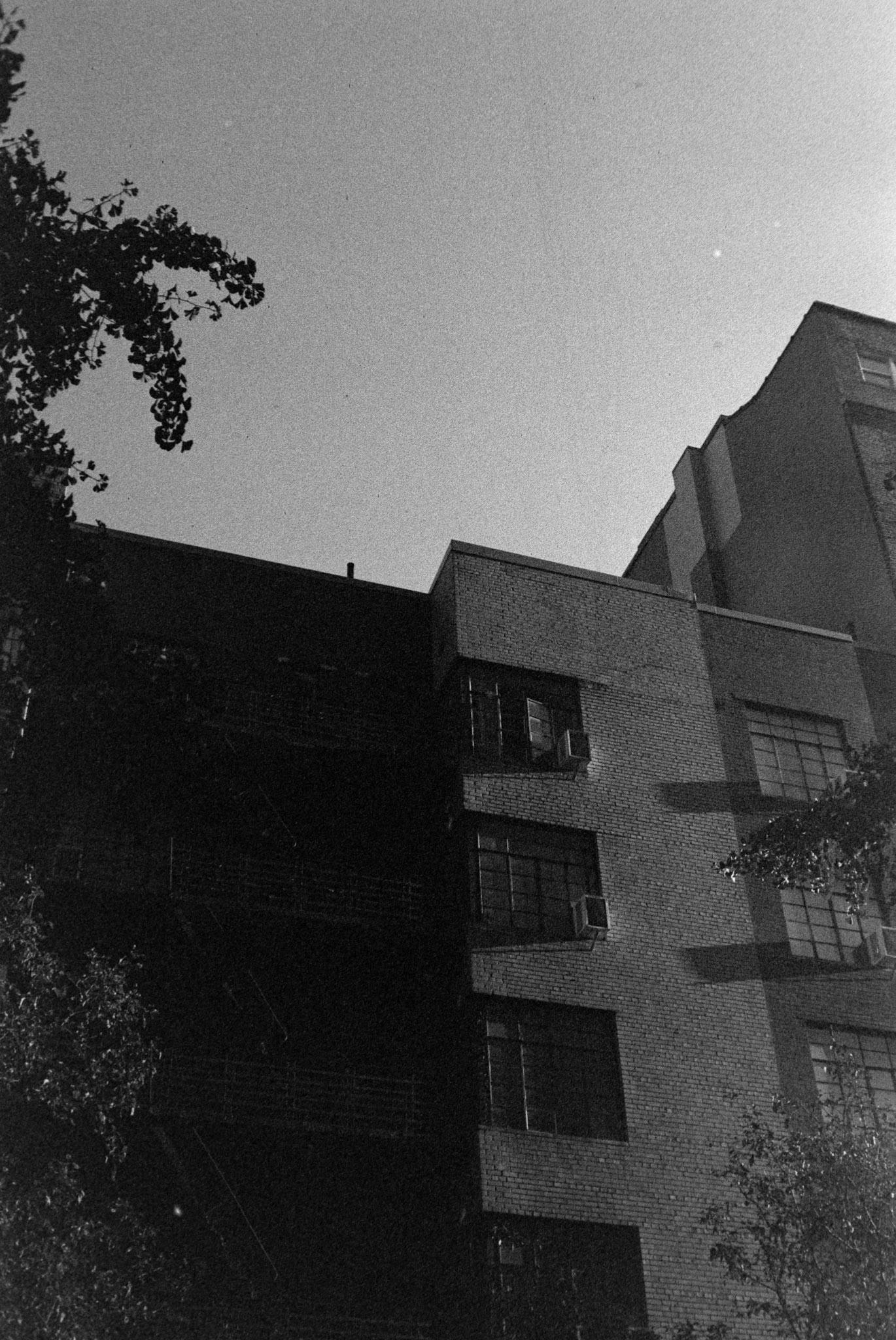 Negative Lab Pro v3.0.2 | Color Model: B+W | Pre-Sat: 4 | Tone Profile: Linear + Gamma | WB: None | LUT: Frontier