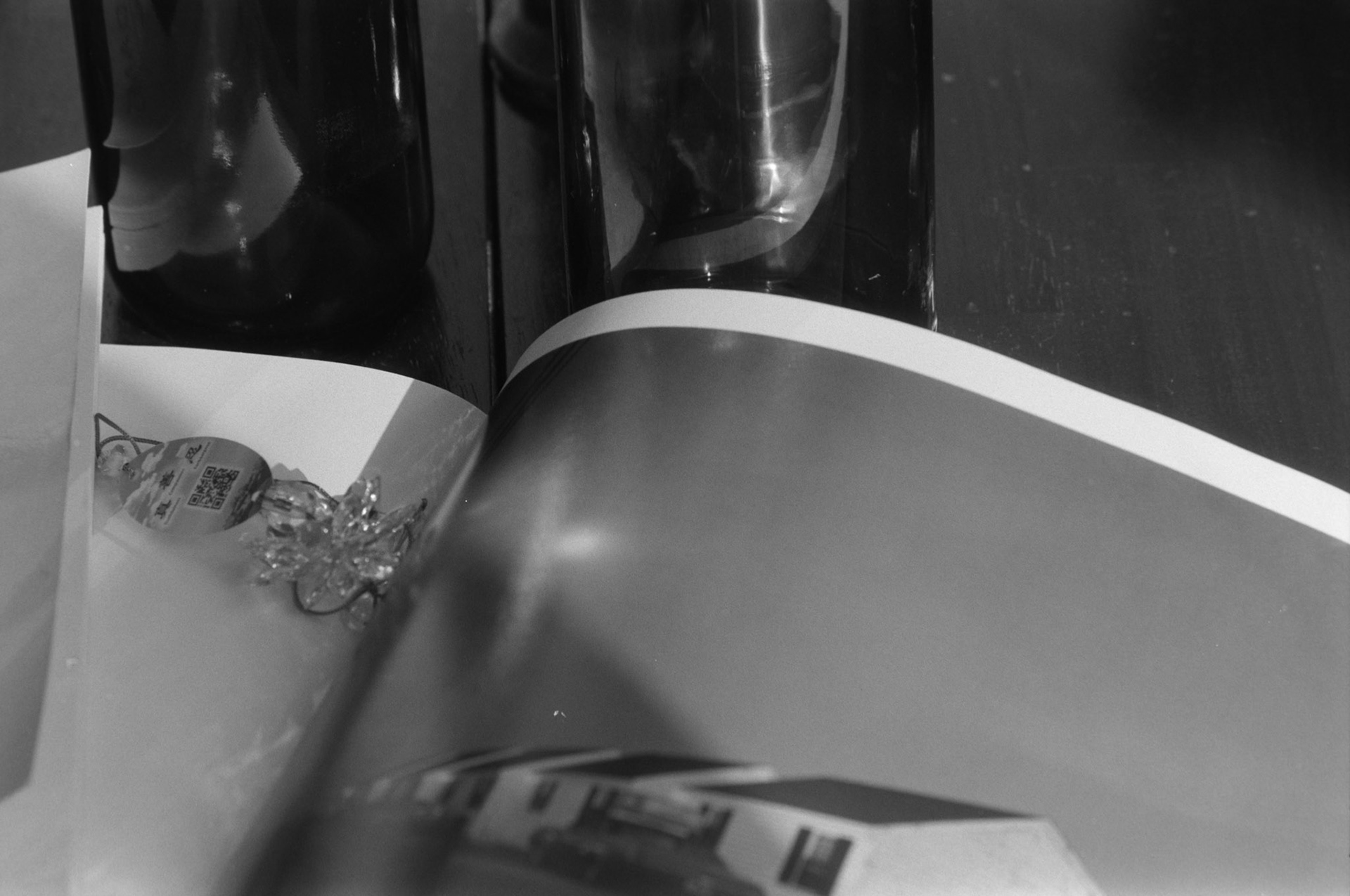 Negative Lab Pro v3.0.2 | Color Model: B+W | Pre-Sat: 4 | Tone Profile: Linear + Gamma | WB: None | LUT: Frontier