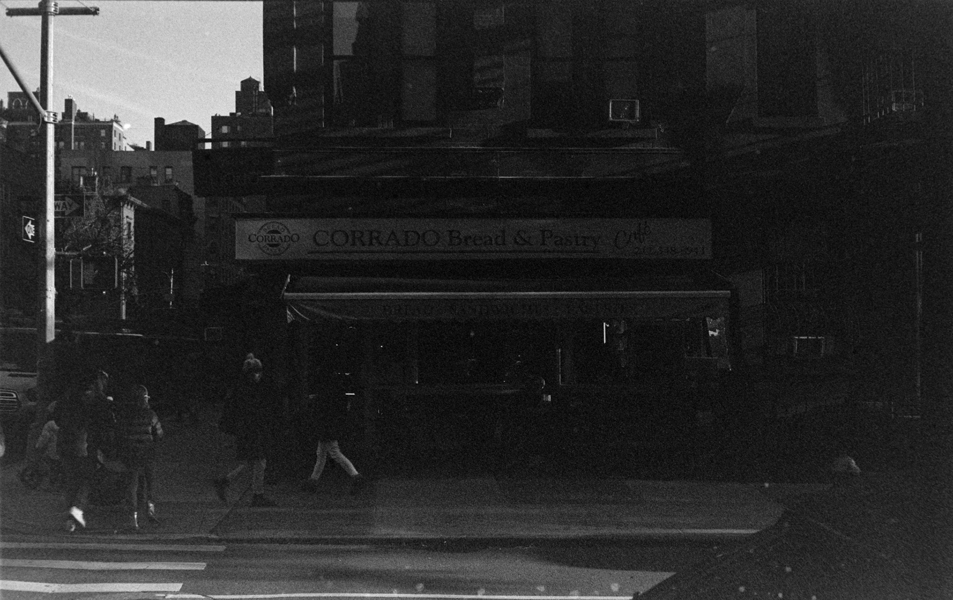 Negative Lab Pro v3.0.2 | Color Model: B+W | Pre-Sat: 4 | Tone Profile: Linear + Gamma | WB: None | LUT: Frontier