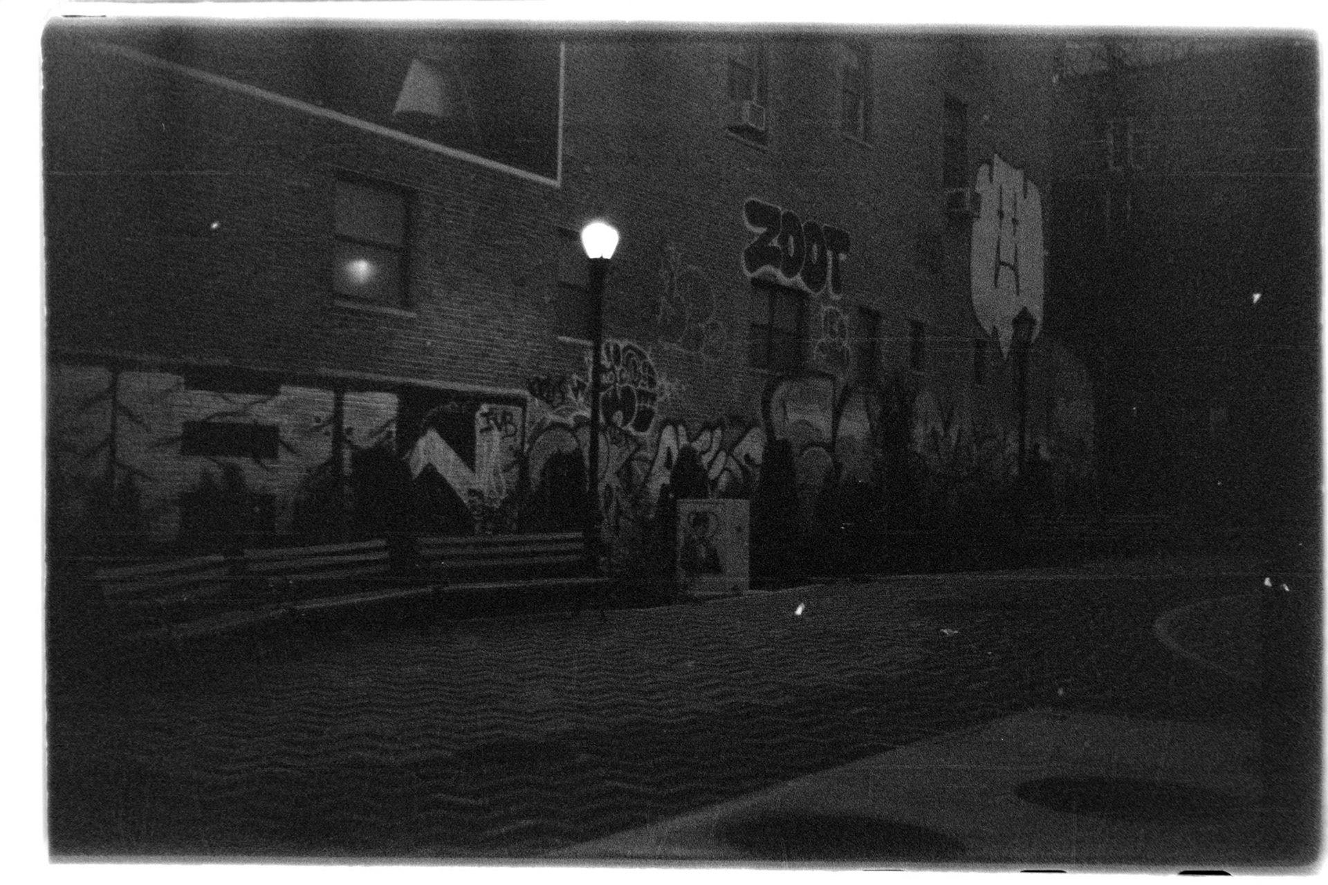 Negative Lab Pro v3.0.2 | Color Model: B+W | Pre-Sat: 4 | Tone Profile: Linear + Gamma | WB: None | LUT: Frontier