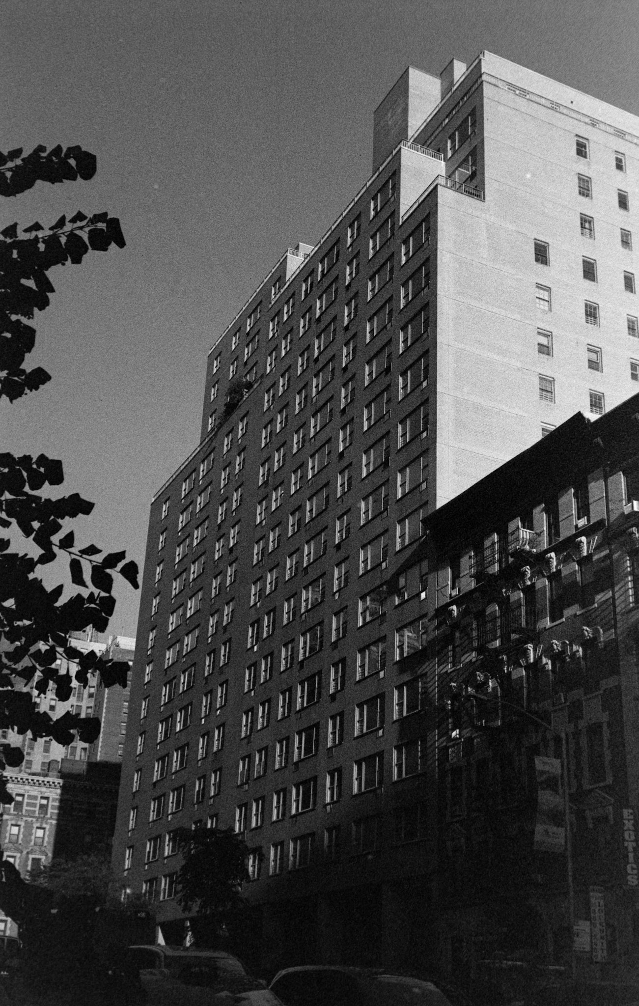 Negative Lab Pro v3.0.2 | Color Model: B+W | Pre-Sat: 4 | Tone Profile: Linear + Gamma | WB: None | LUT: Frontier