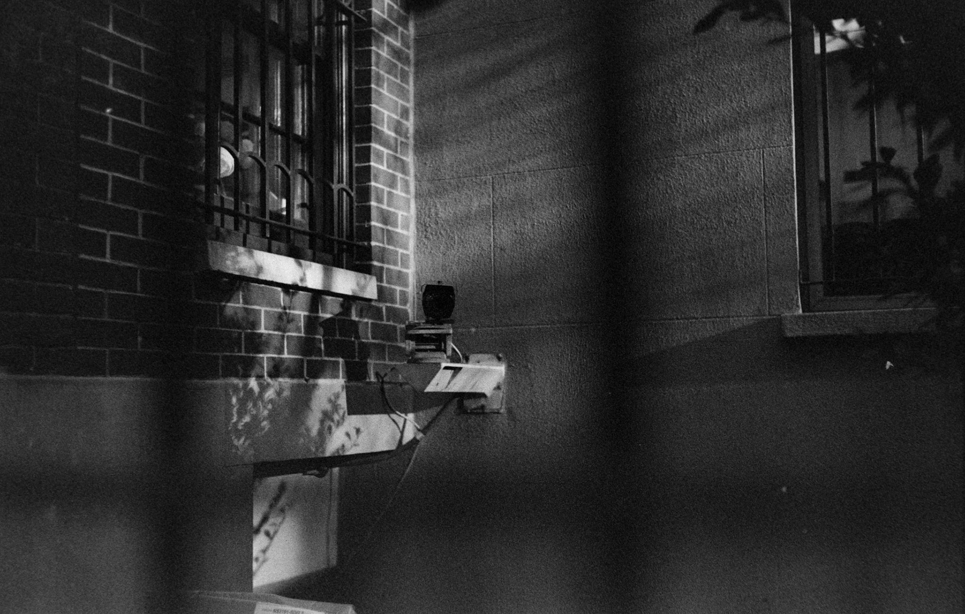 Negative Lab Pro v3.0.2 | Color Model: B+W | Pre-Sat: 4 | Tone Profile: Linear + Gamma | WB: None | LUT: Frontier