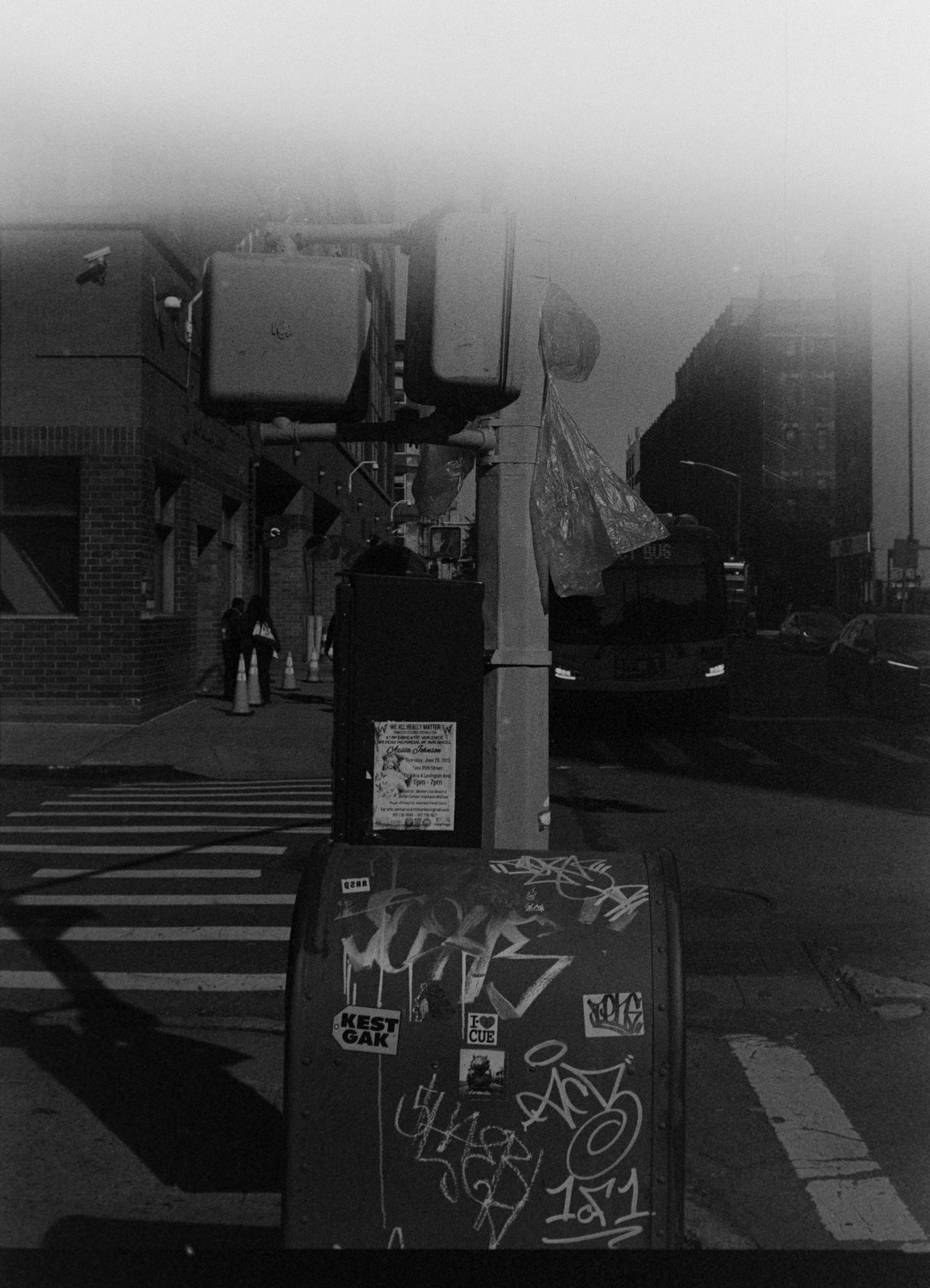 Negative Lab Pro v3.0.2 | Color Model: B+W | Pre-Sat: 4 | Tone Profile: Linear + Gamma | WB: None | LUT: Frontier