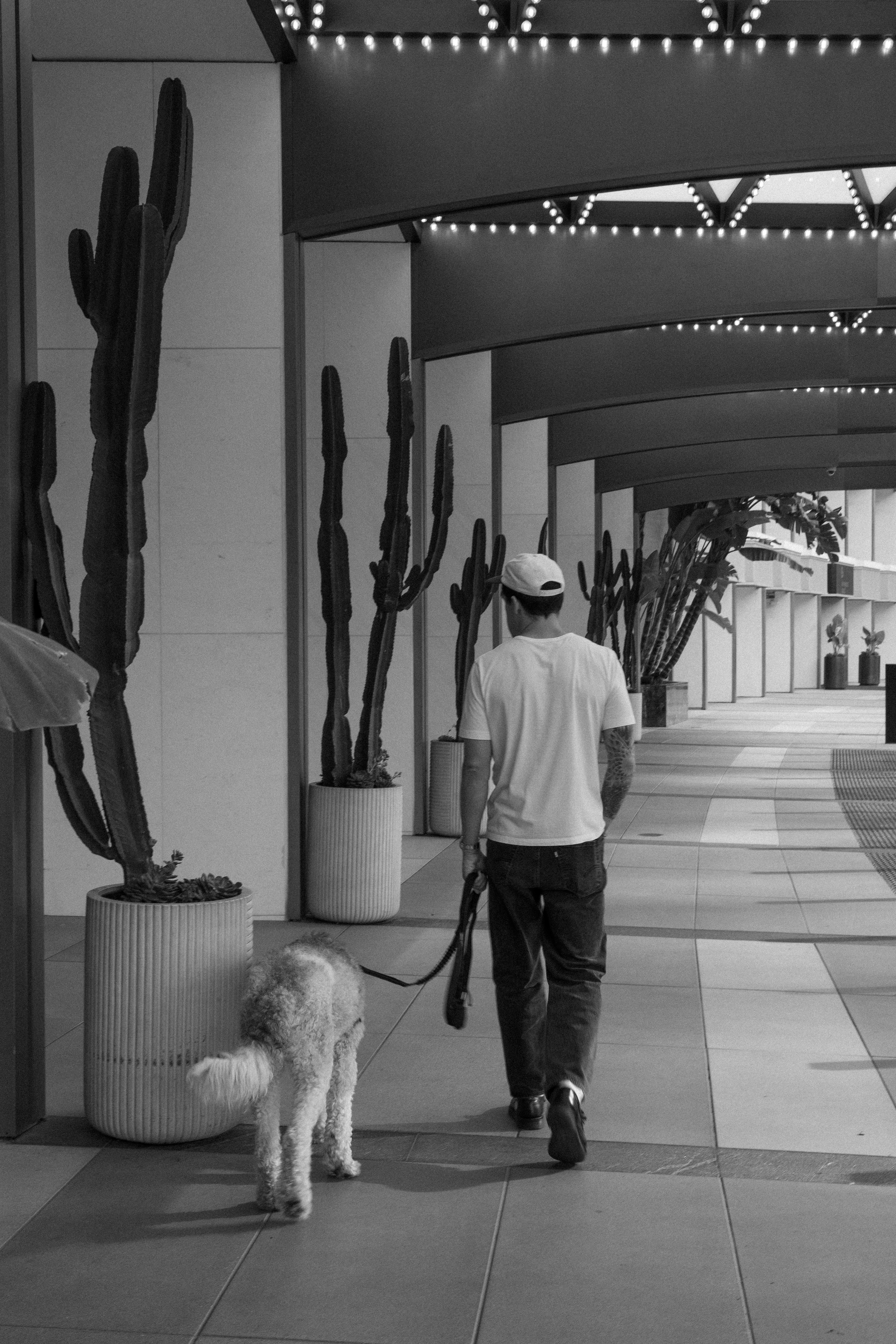 Editorial Hotel Photography | Guests at Fairmont Century Plaza Hotel at Beverly Hills