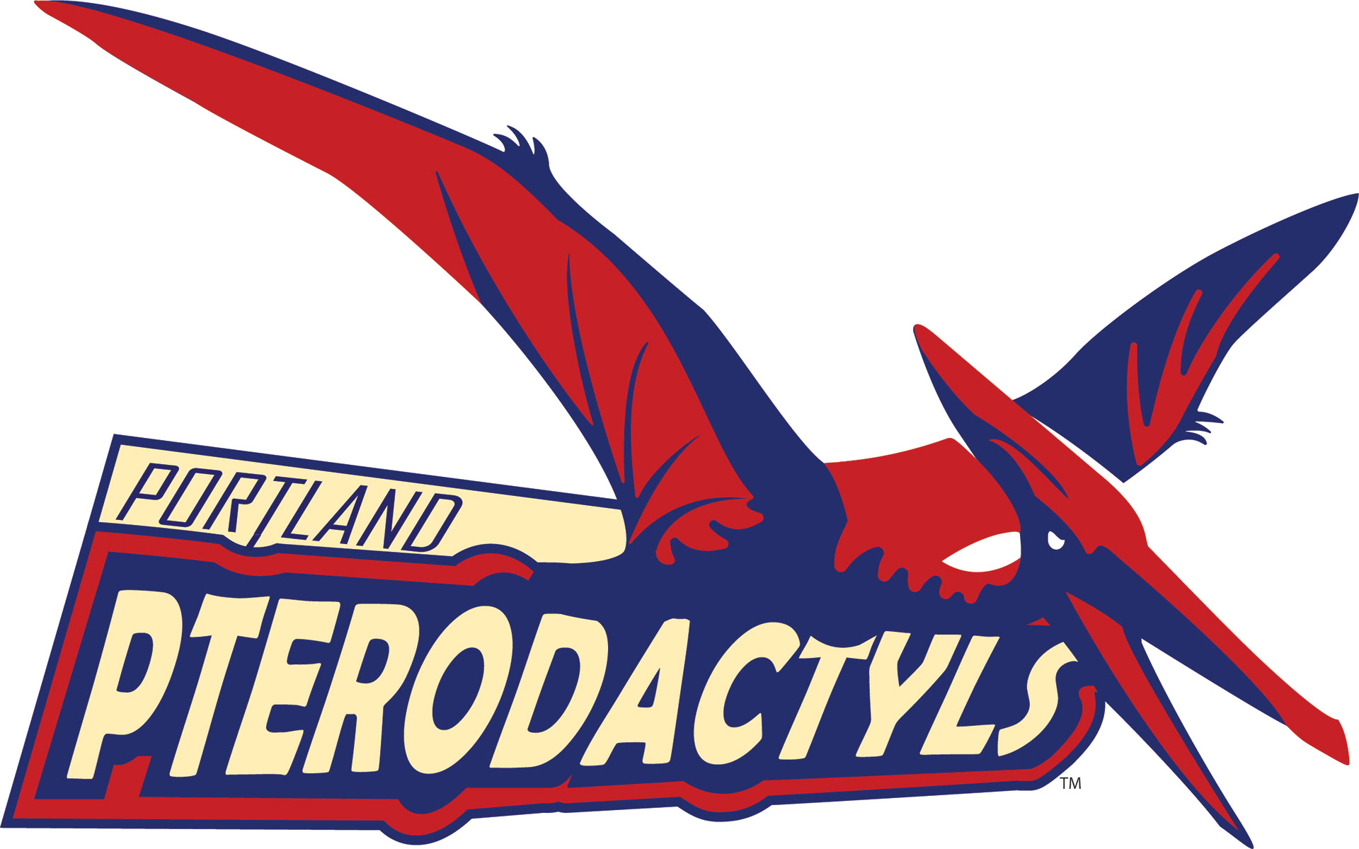 final logo for the kids league