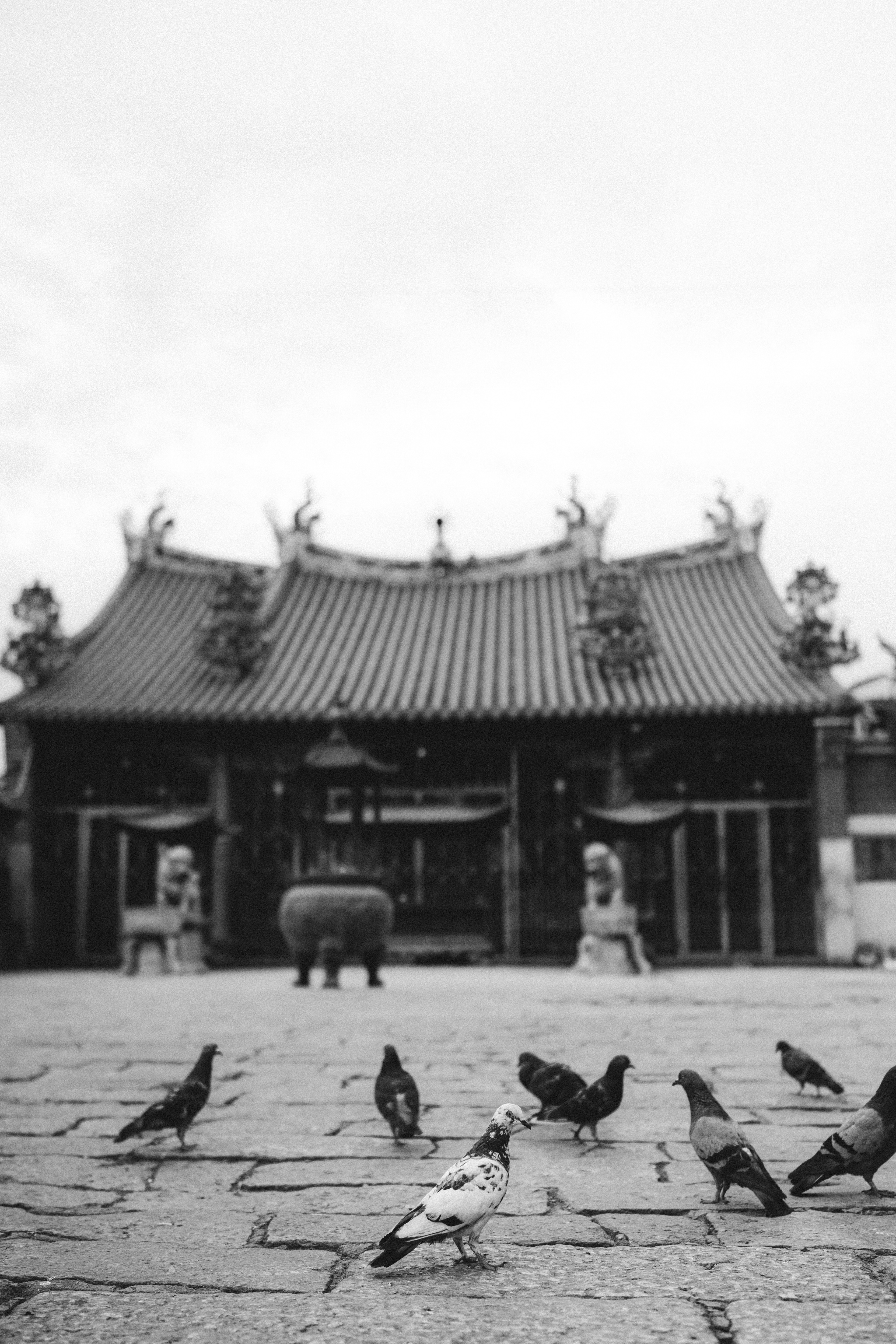 "Black & White."