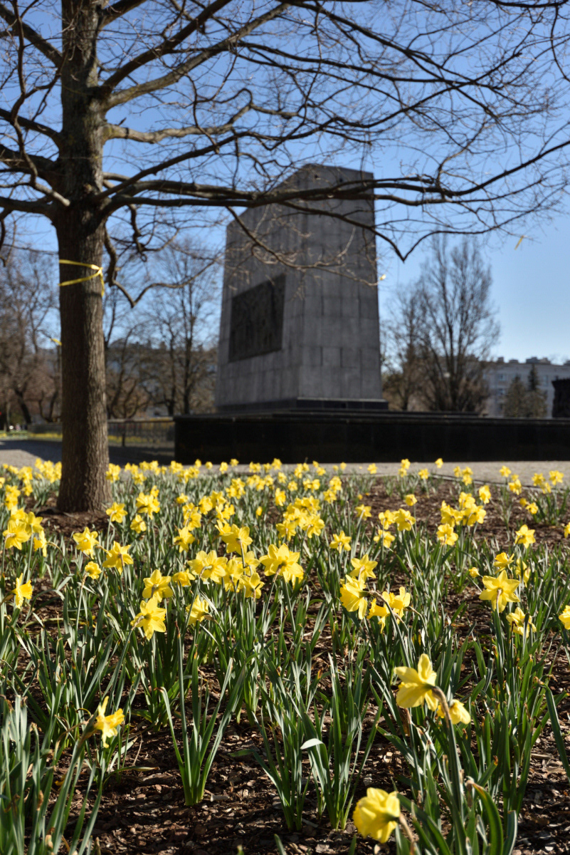06. Warsaw Ghetto - fot. Lukasz Nowosadzki