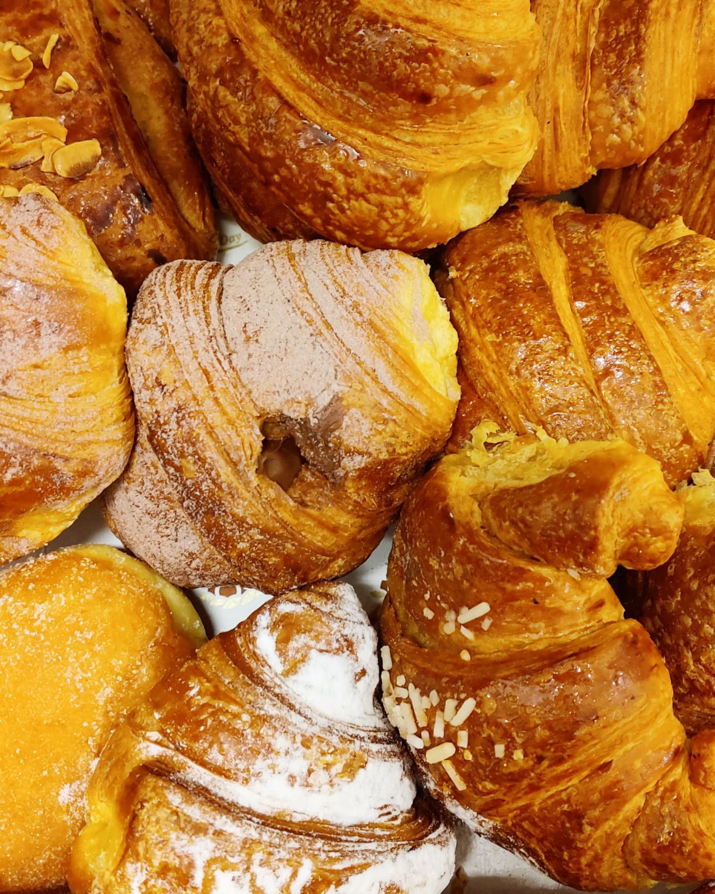 Brioche