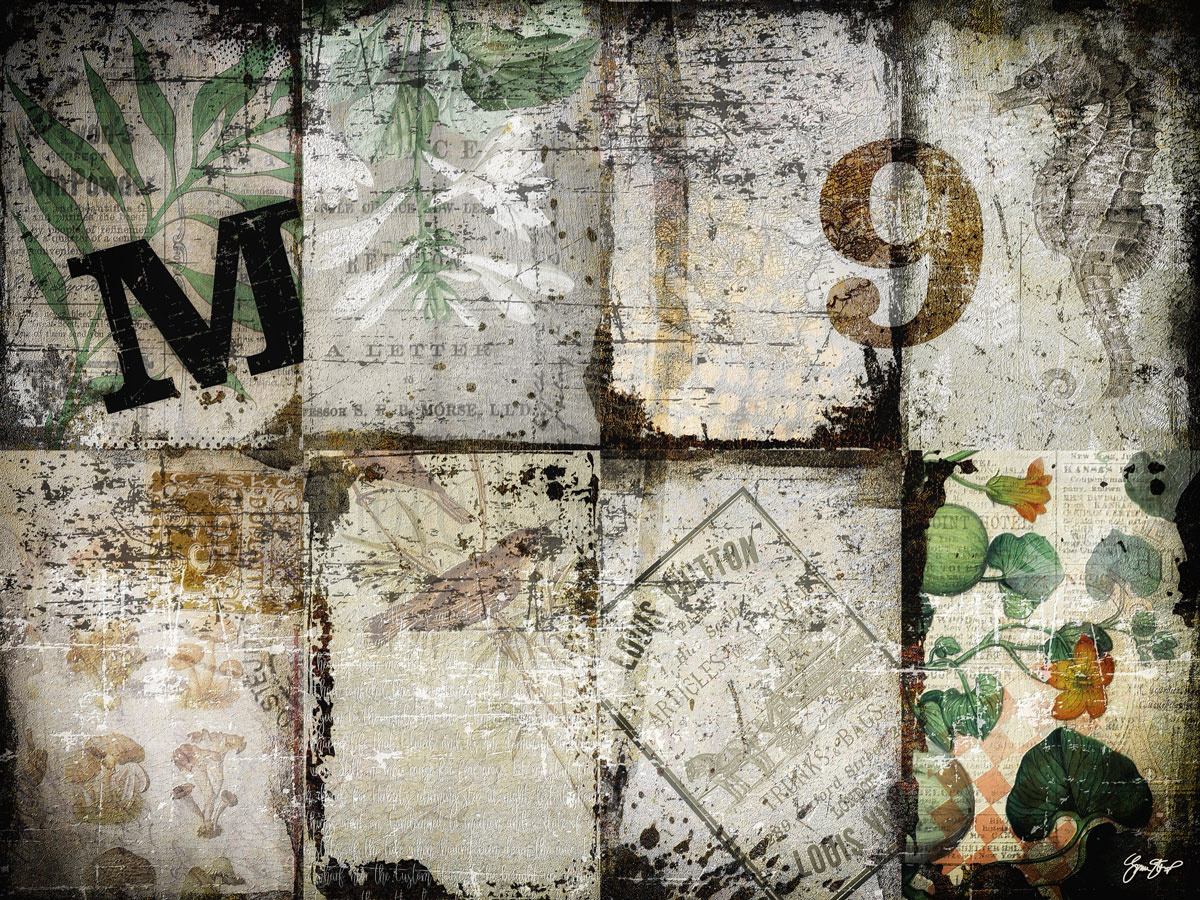 Mixed media collage art by Gina Startup
