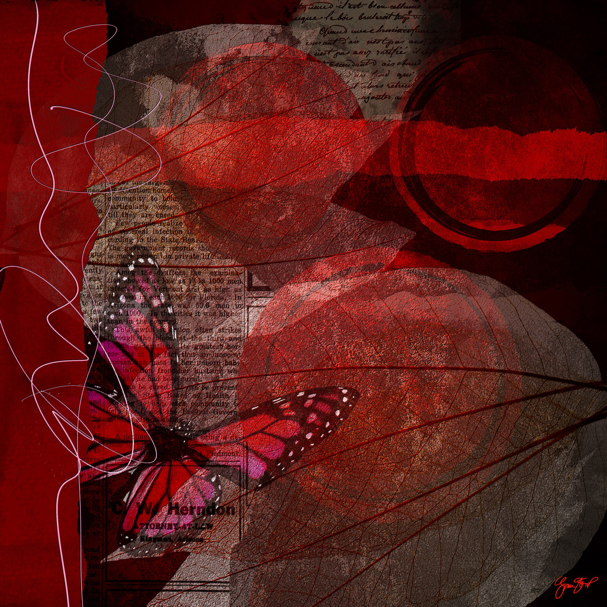 Pink Butterfly by Gina Startup 