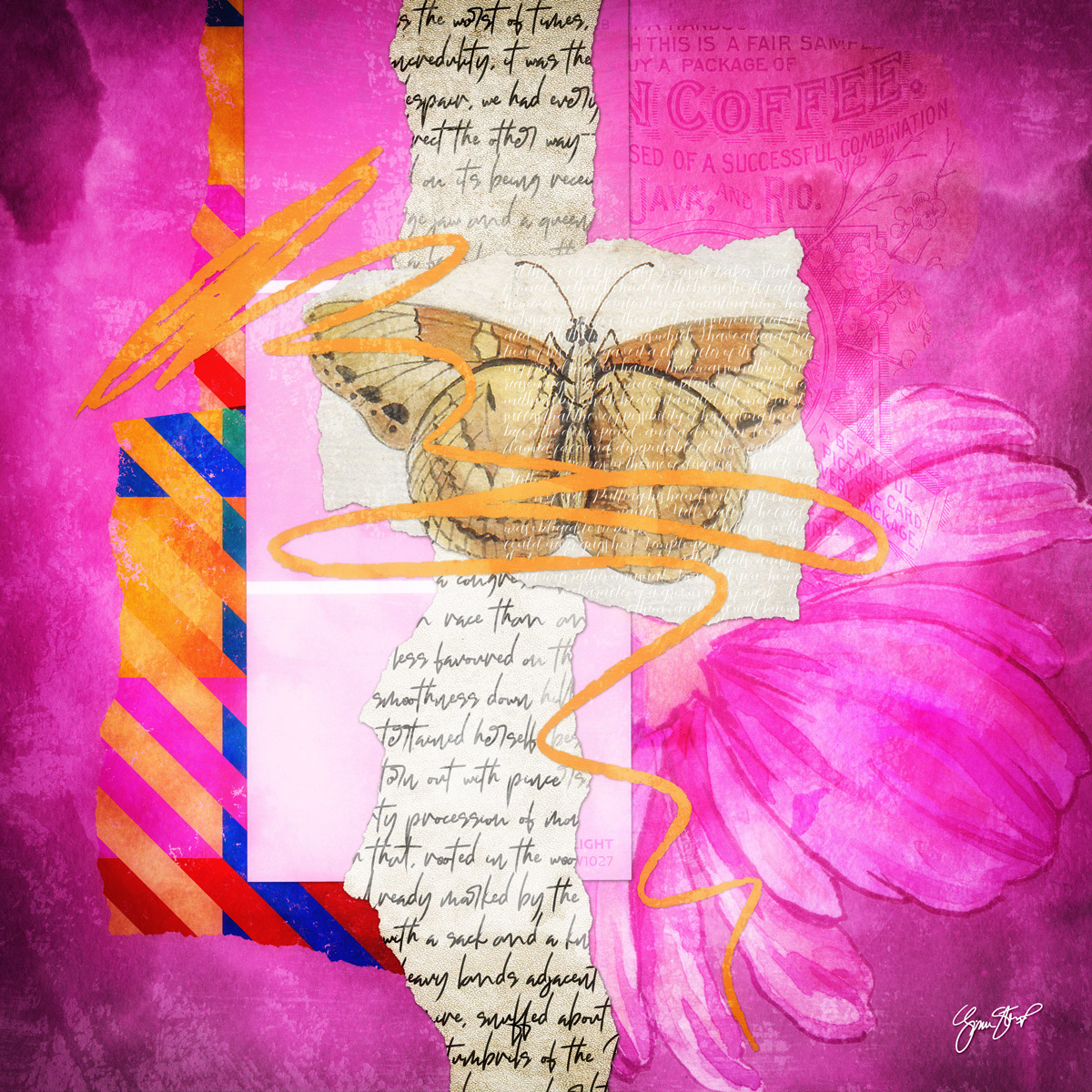 Pink Butterfly by Gina Startup 