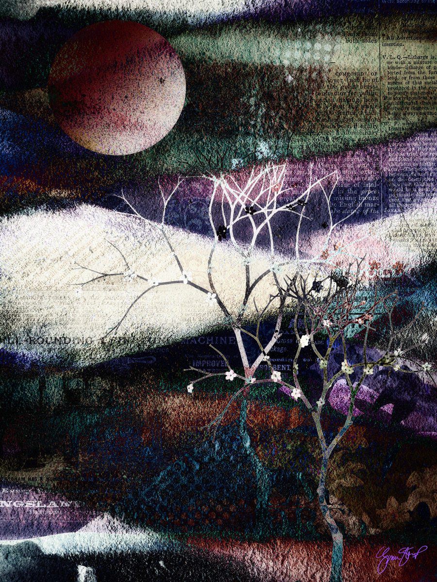 Moon Eclipse by Gina Startup 