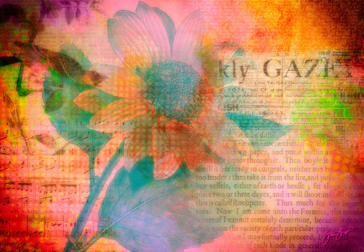The Sunflower Song by Gina Startup