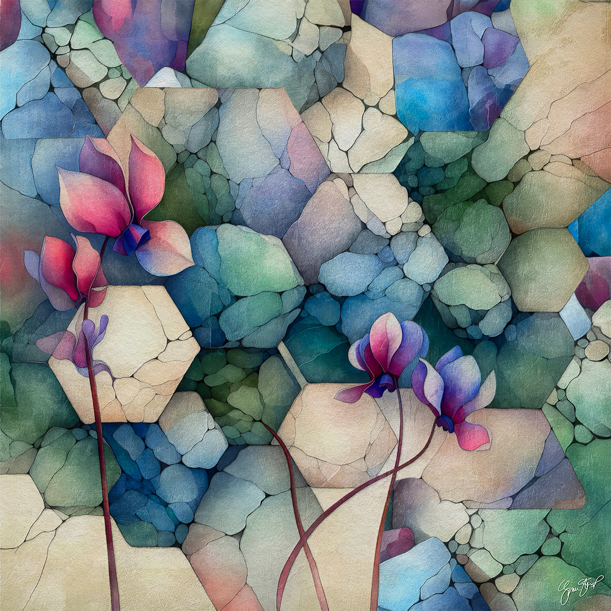cyclamen by Gina Startup
