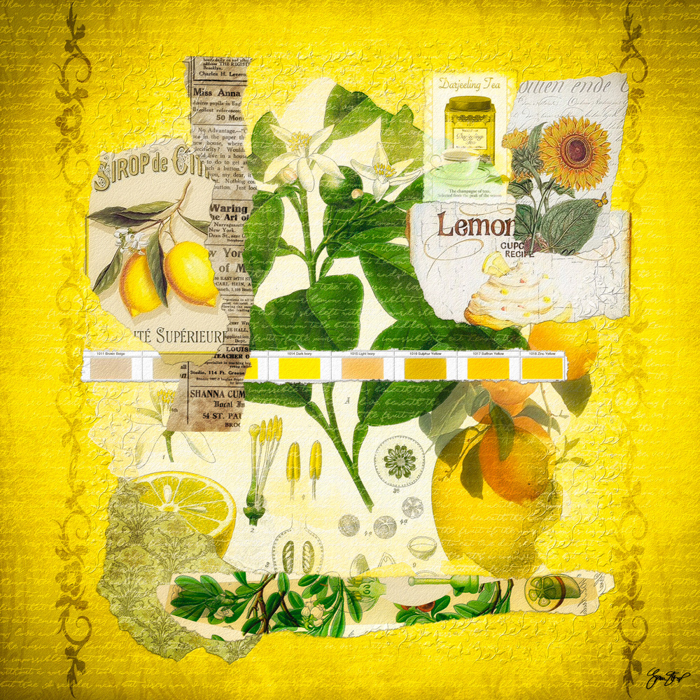 Mixed media collage art by Gina Startup