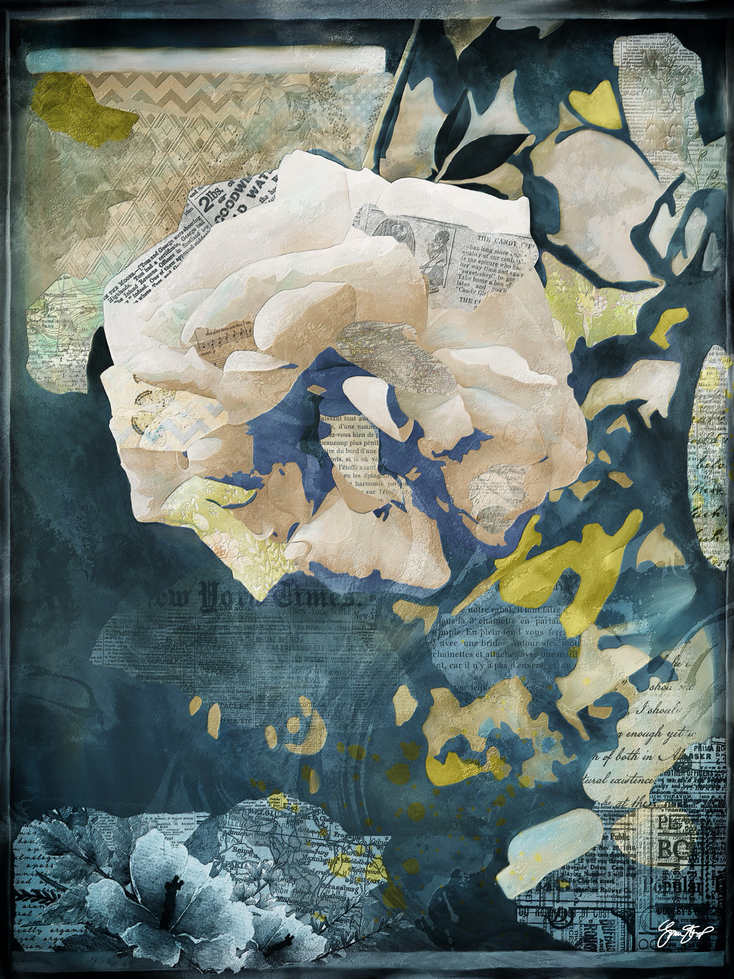 Pale Garden Rose by Gina Startup