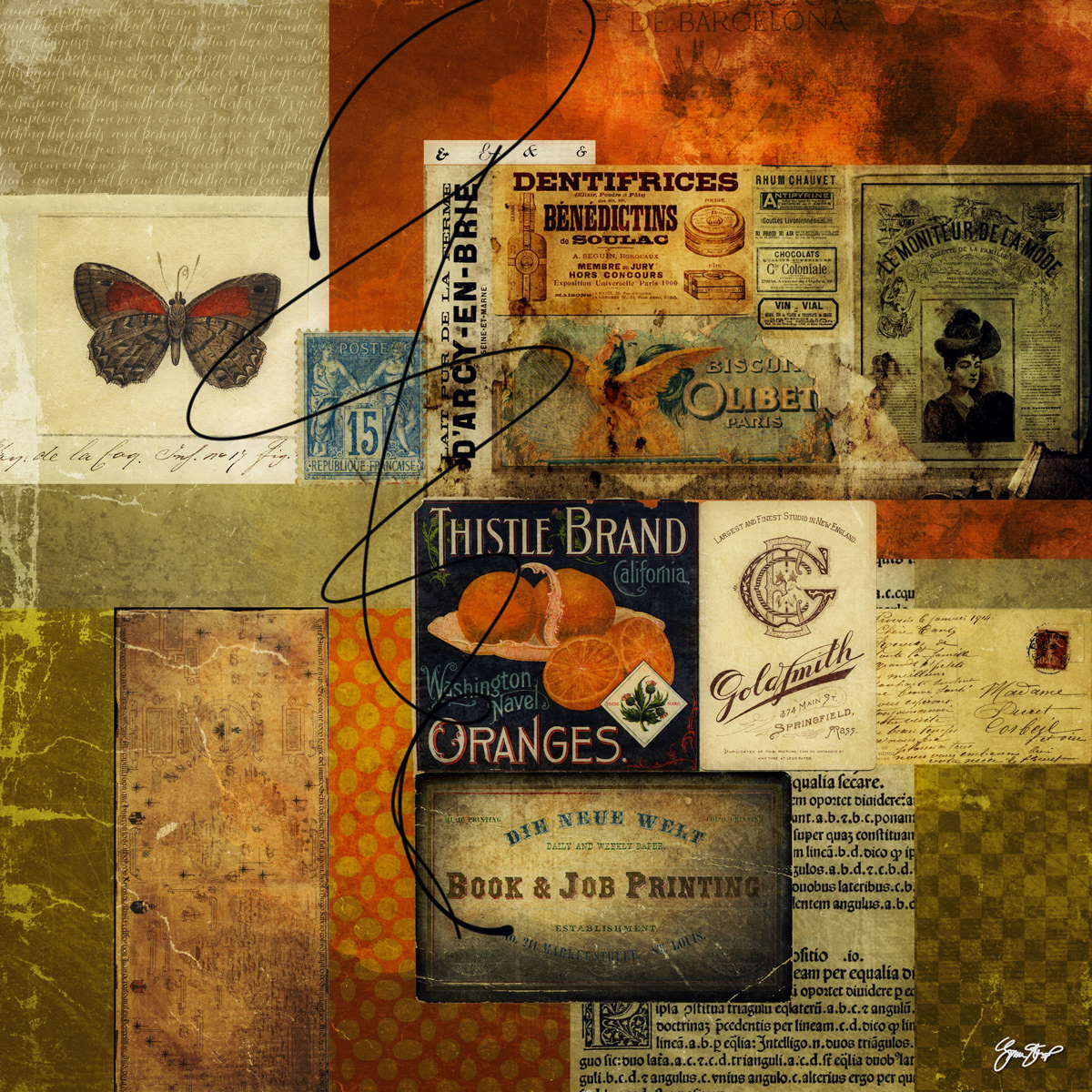 The Orange Book by Gina Startup 
