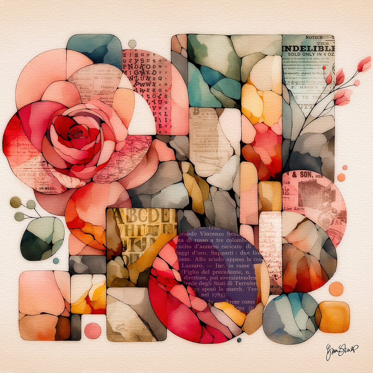A Rose Beyond Time by Gina Startup