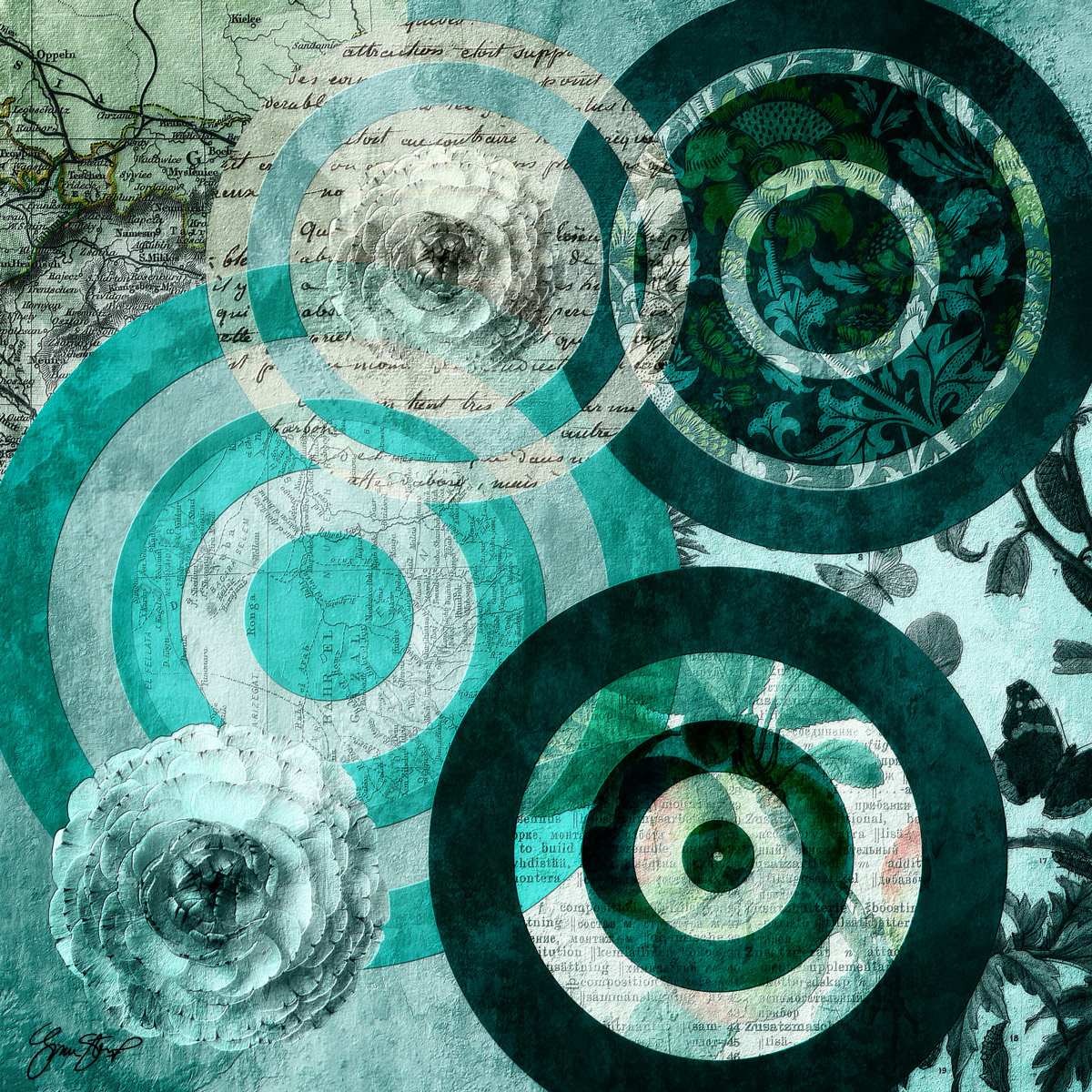 Circles of Thought by Gina Startup 