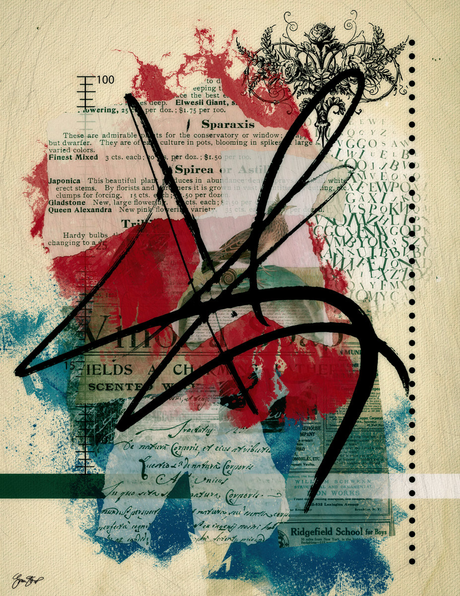 Sparaxis Collage