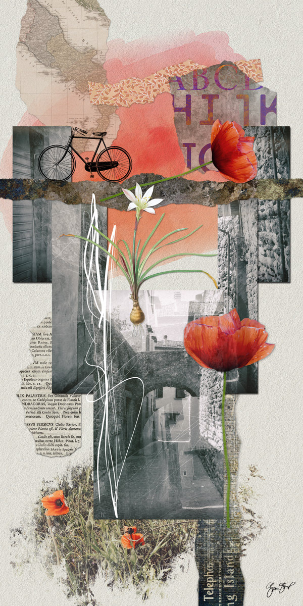 Tuscan Poppies by Gina Startup