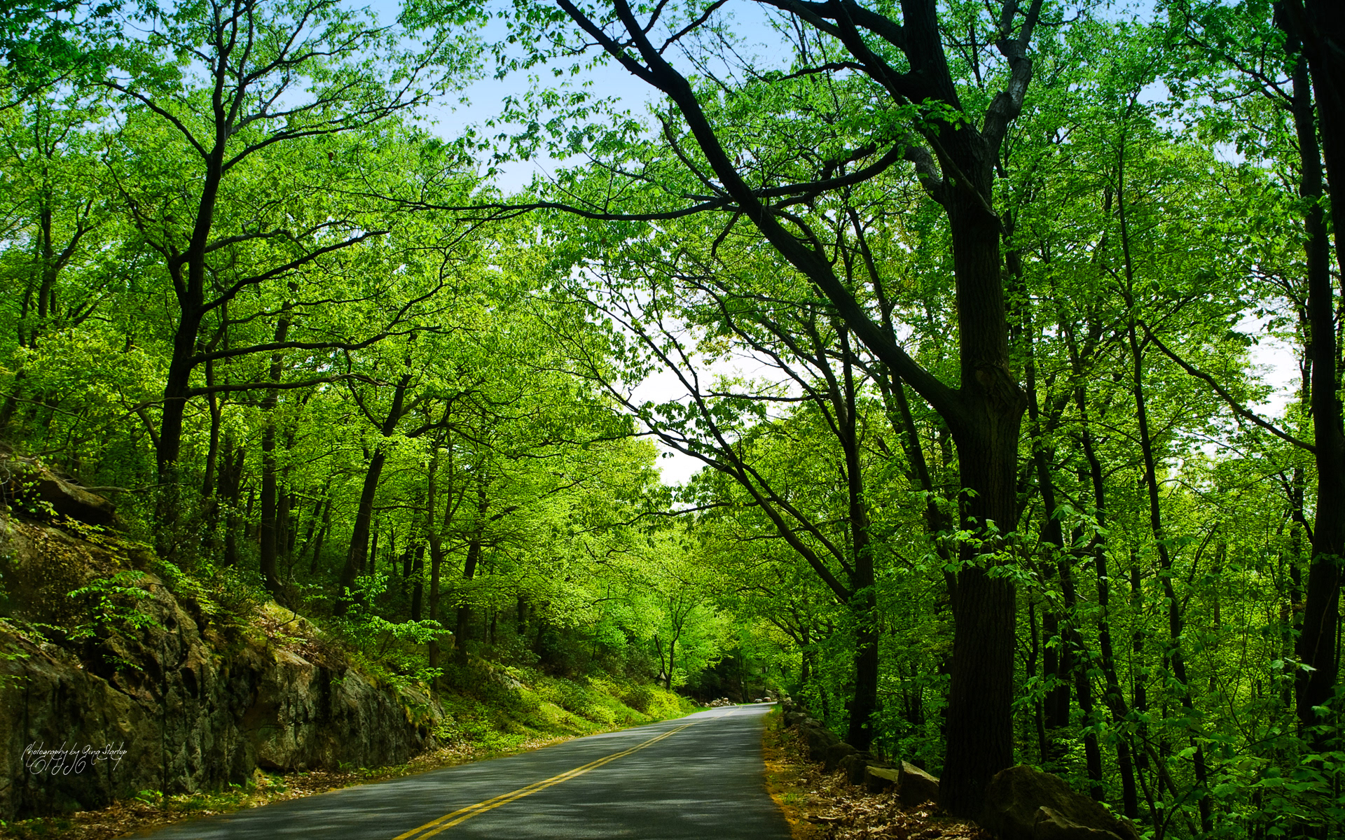 Photography by Gina Startup 