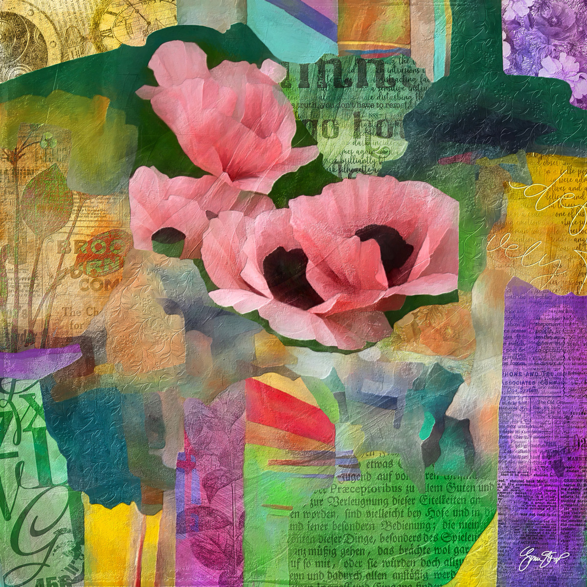 Pink Poppy Collage by Gina Startup