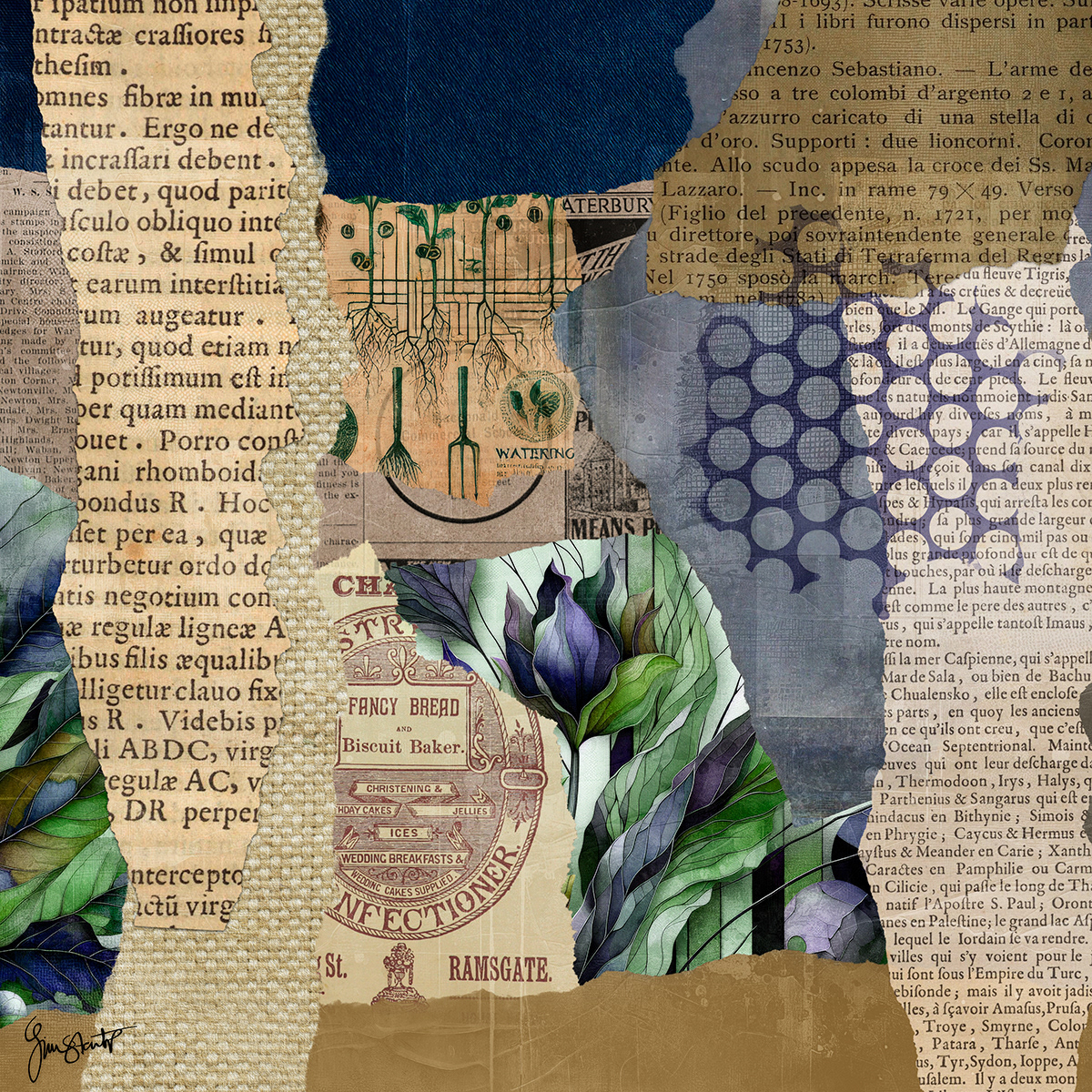 Next phase by Gina Startup 