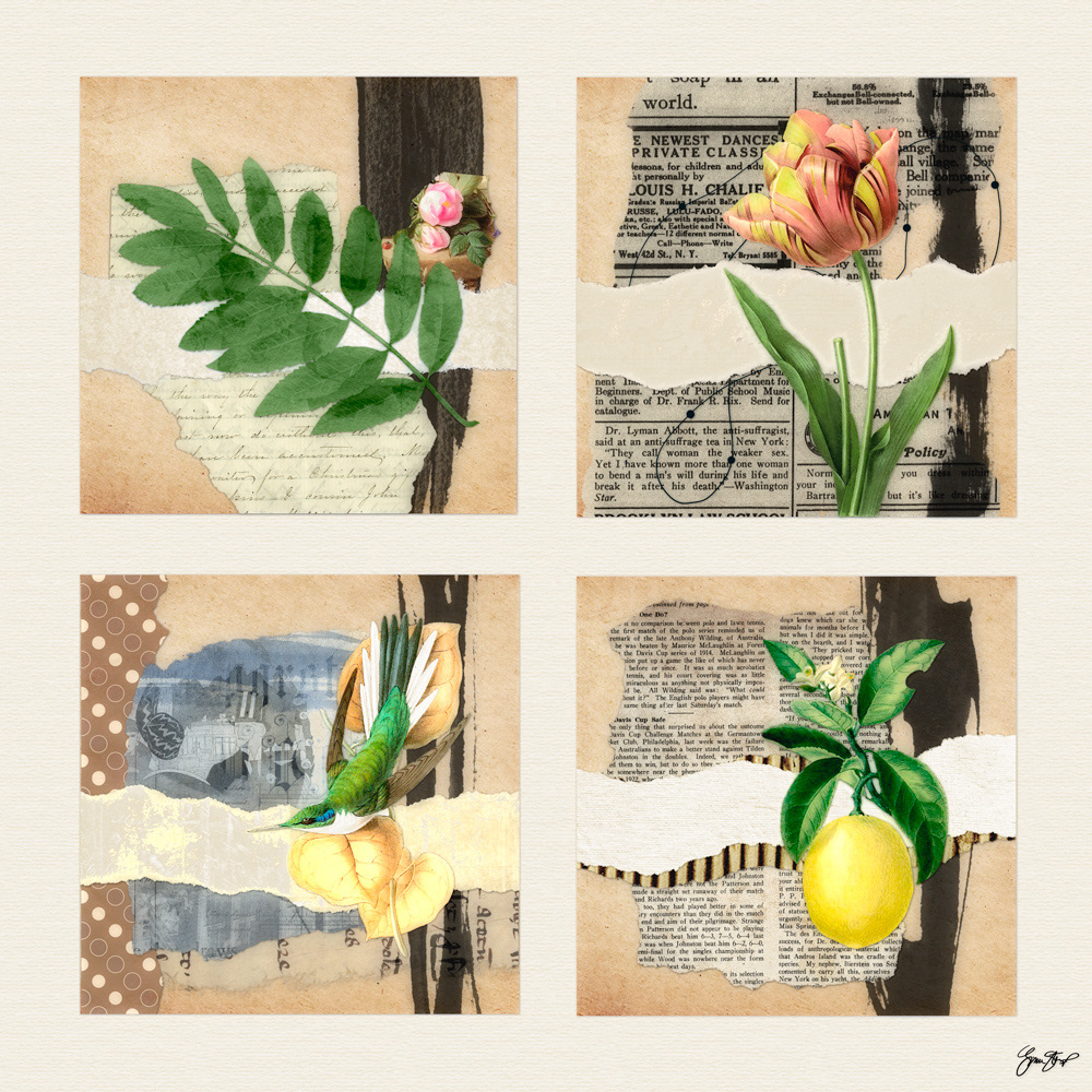 Mixed media collage by Gina Startup