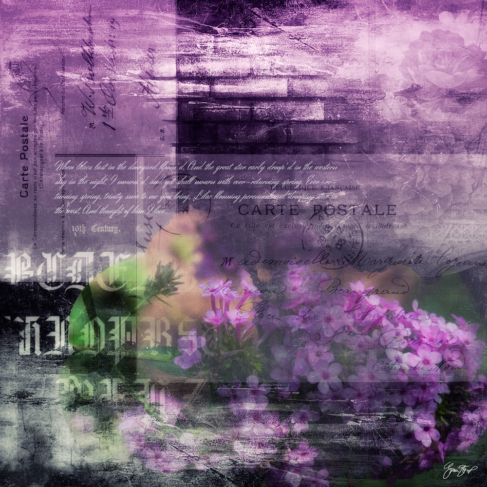 Mixed Media Collage Art by Gina Startup