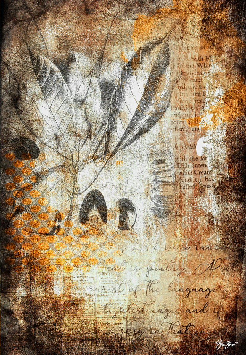 Language Of Past by Gina Startup 