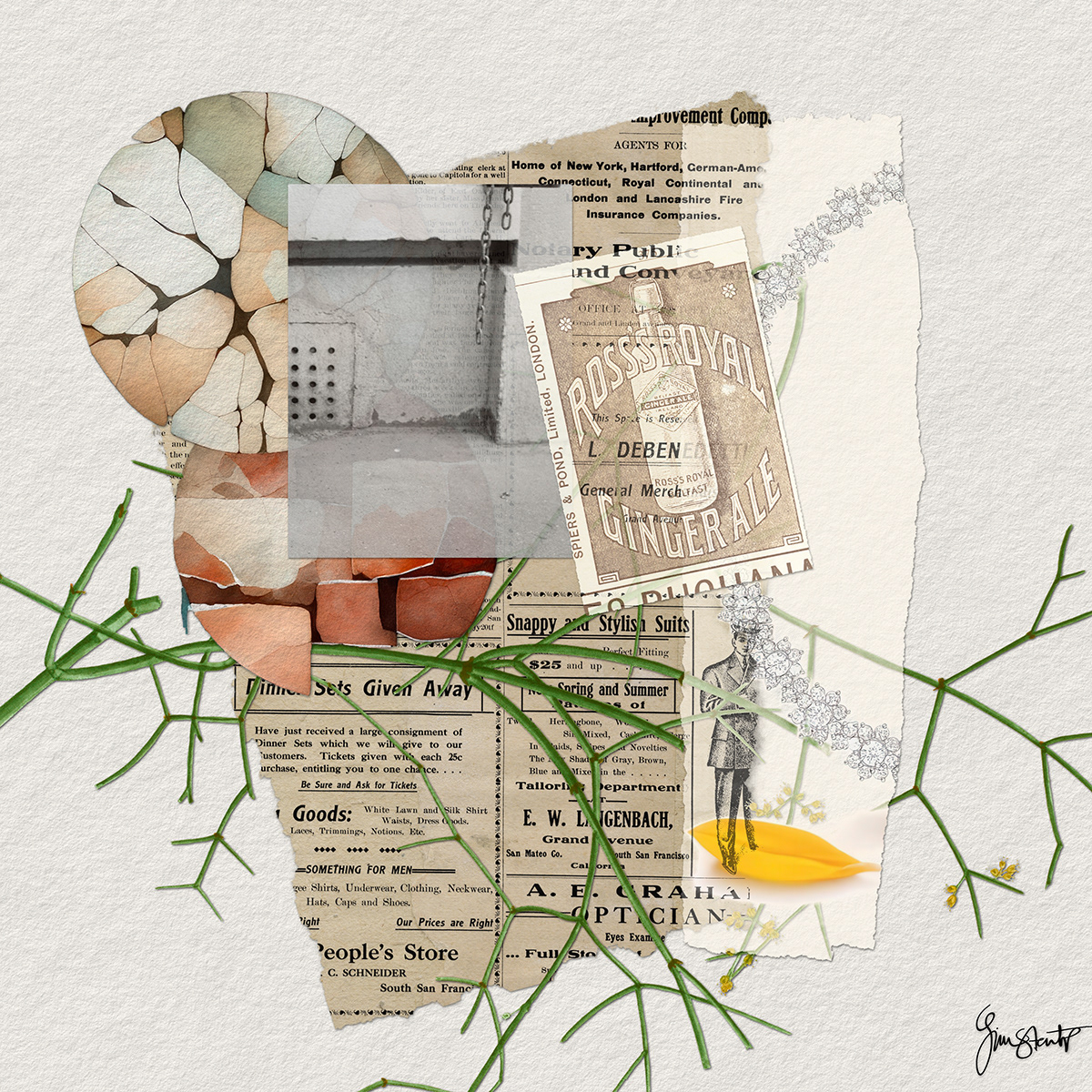 A Bottle Of Ginger Ale by Gina Startup 