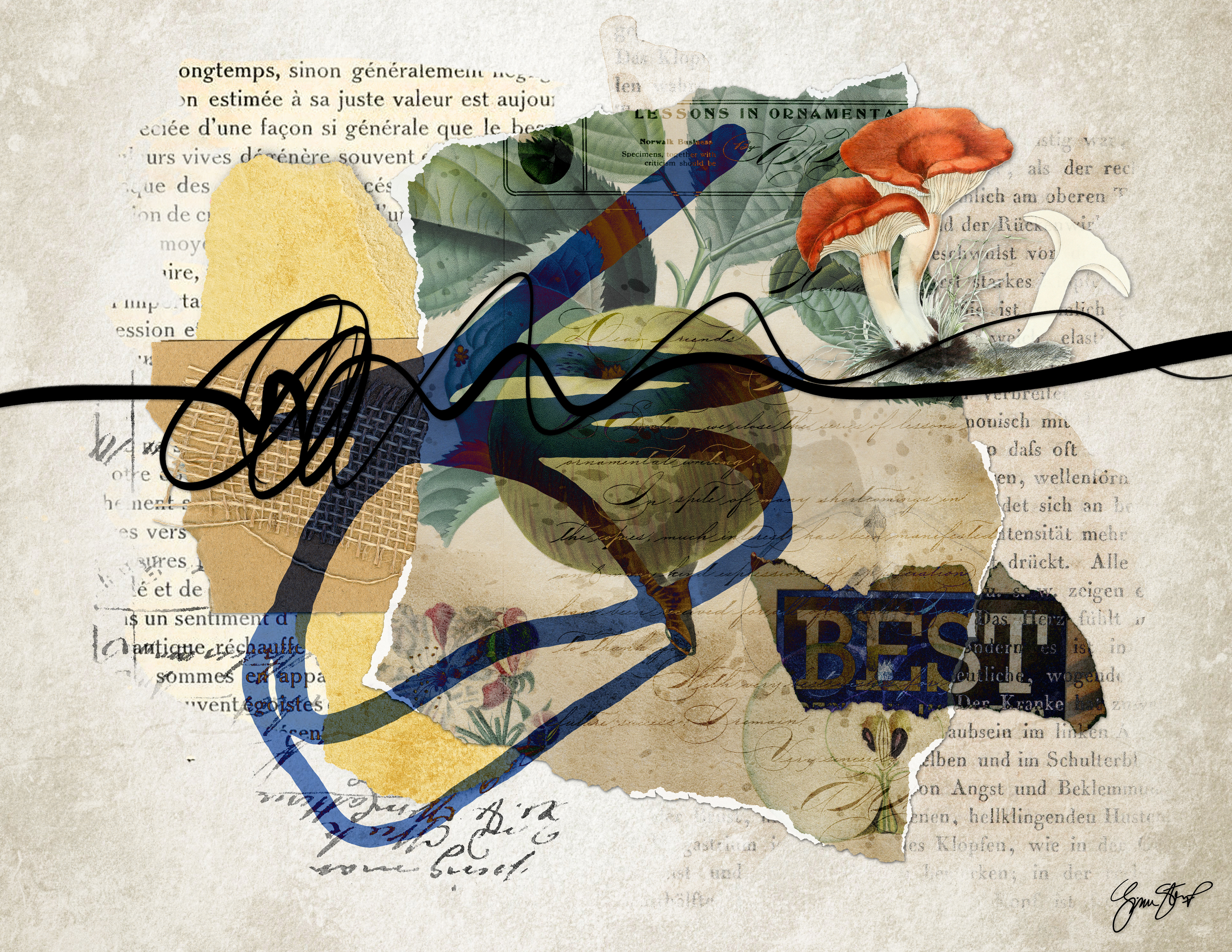 Best Of by Gina Startup