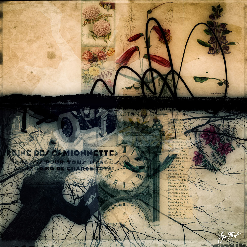 Decipher Reality