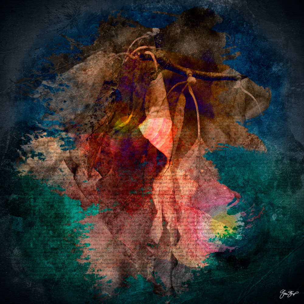 Mixed media Abstract Collage Art by Gina Startup