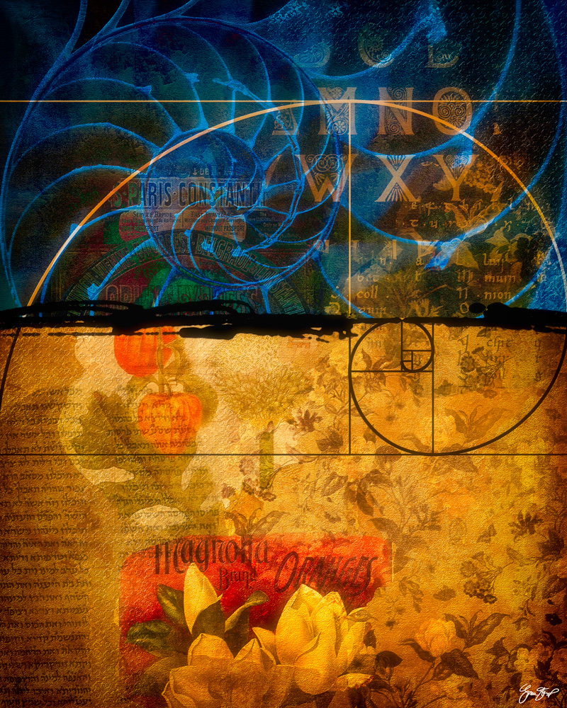 Mixed media Collage by Gina Startup