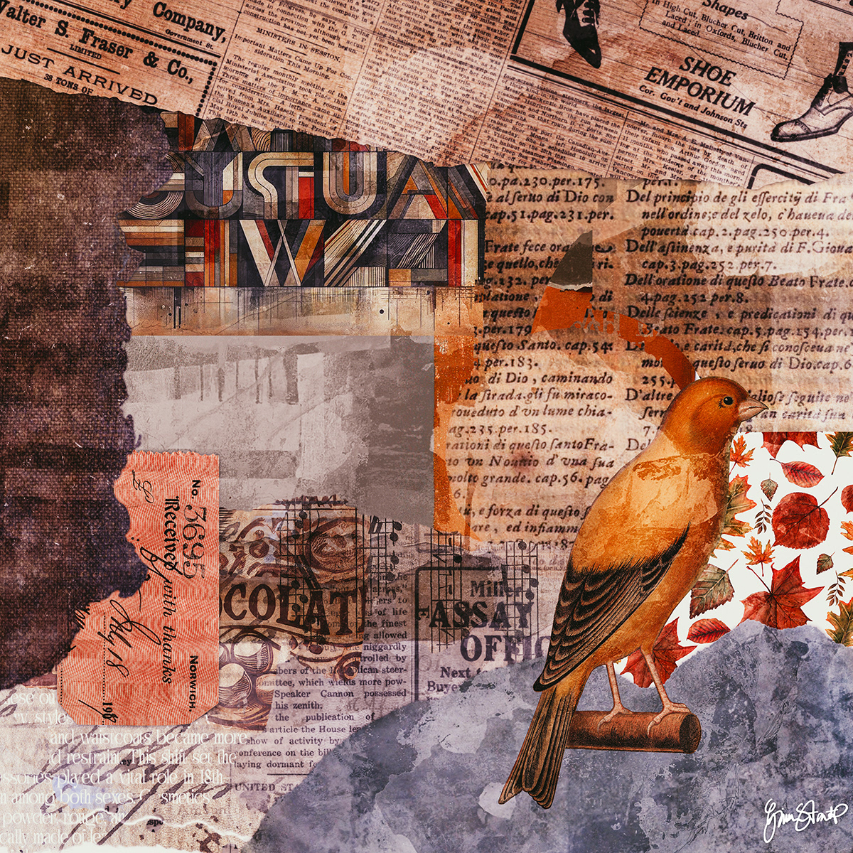 Bird In the Shoe by Gina Startup 