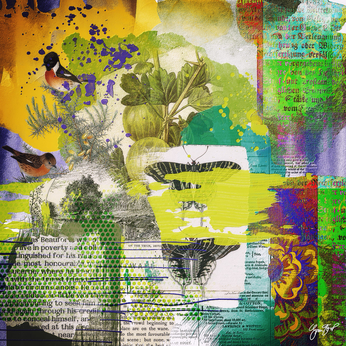 A Stroll Through the Forest by Gina Startup 