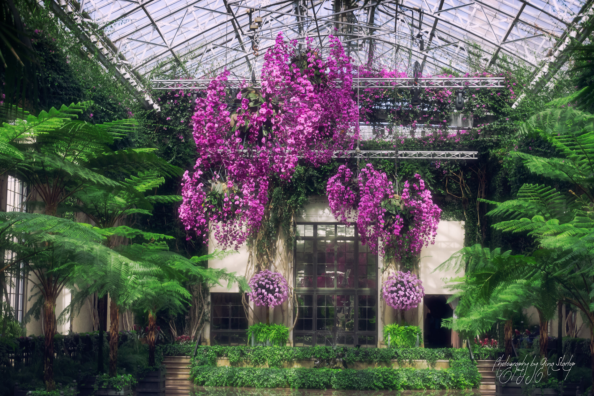 Photography by Gina Startup