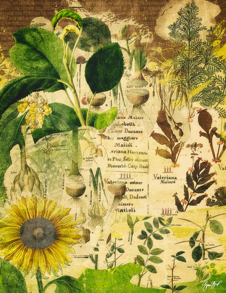 Botany 101 by Gina Startup