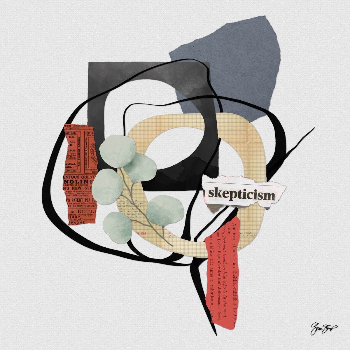 Skepticism by Gina Startup 