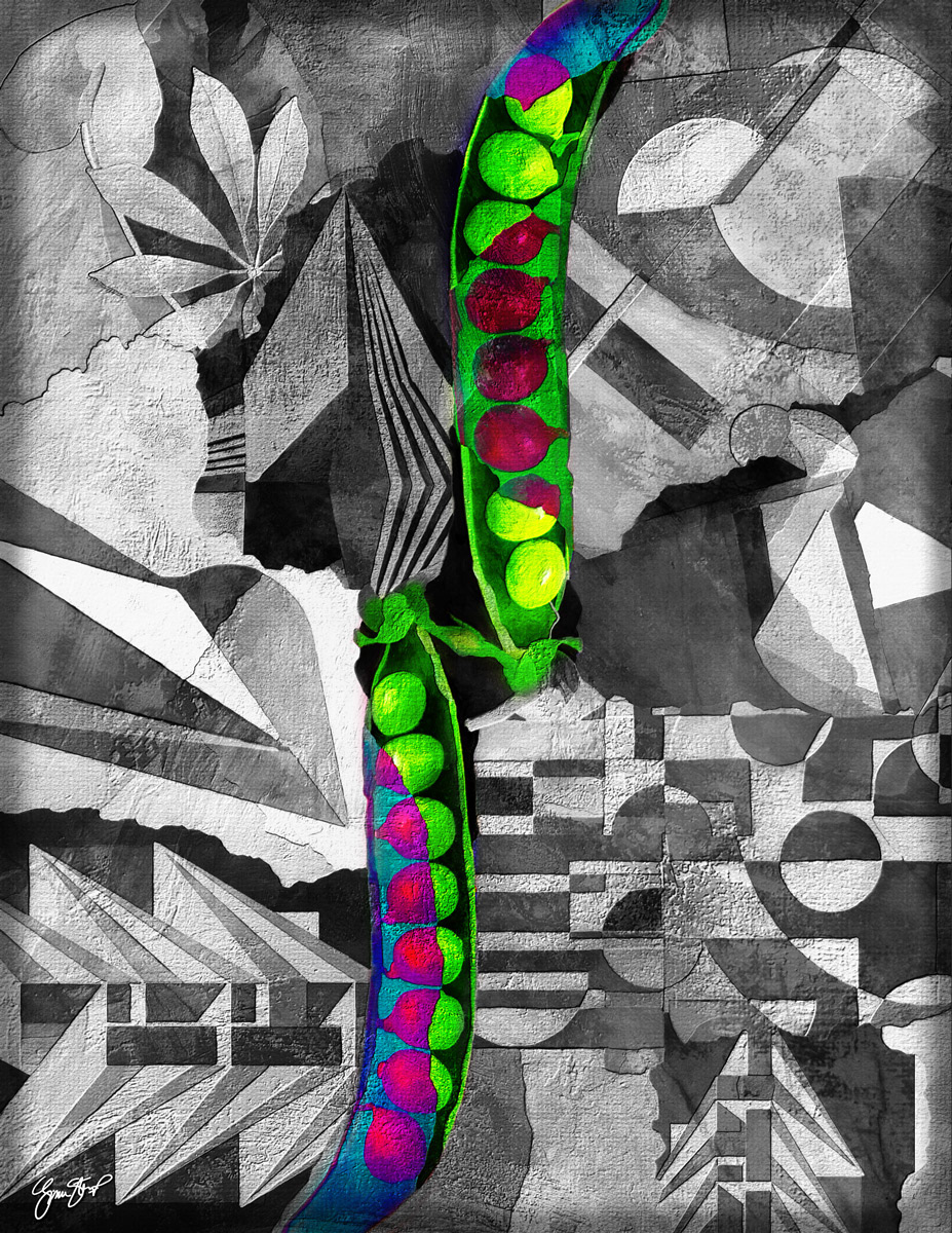 Pea Pods by Gina Startup 